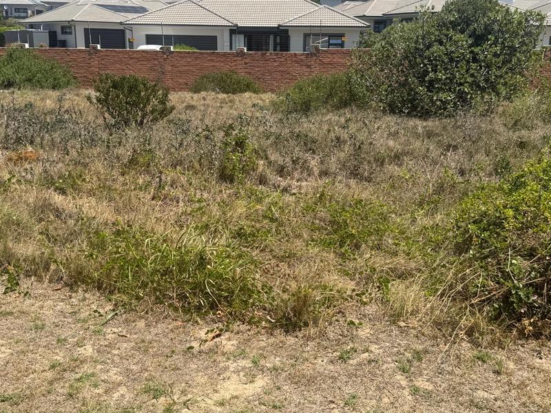 0 Bedroom Property for Sale in Diaz Western Cape